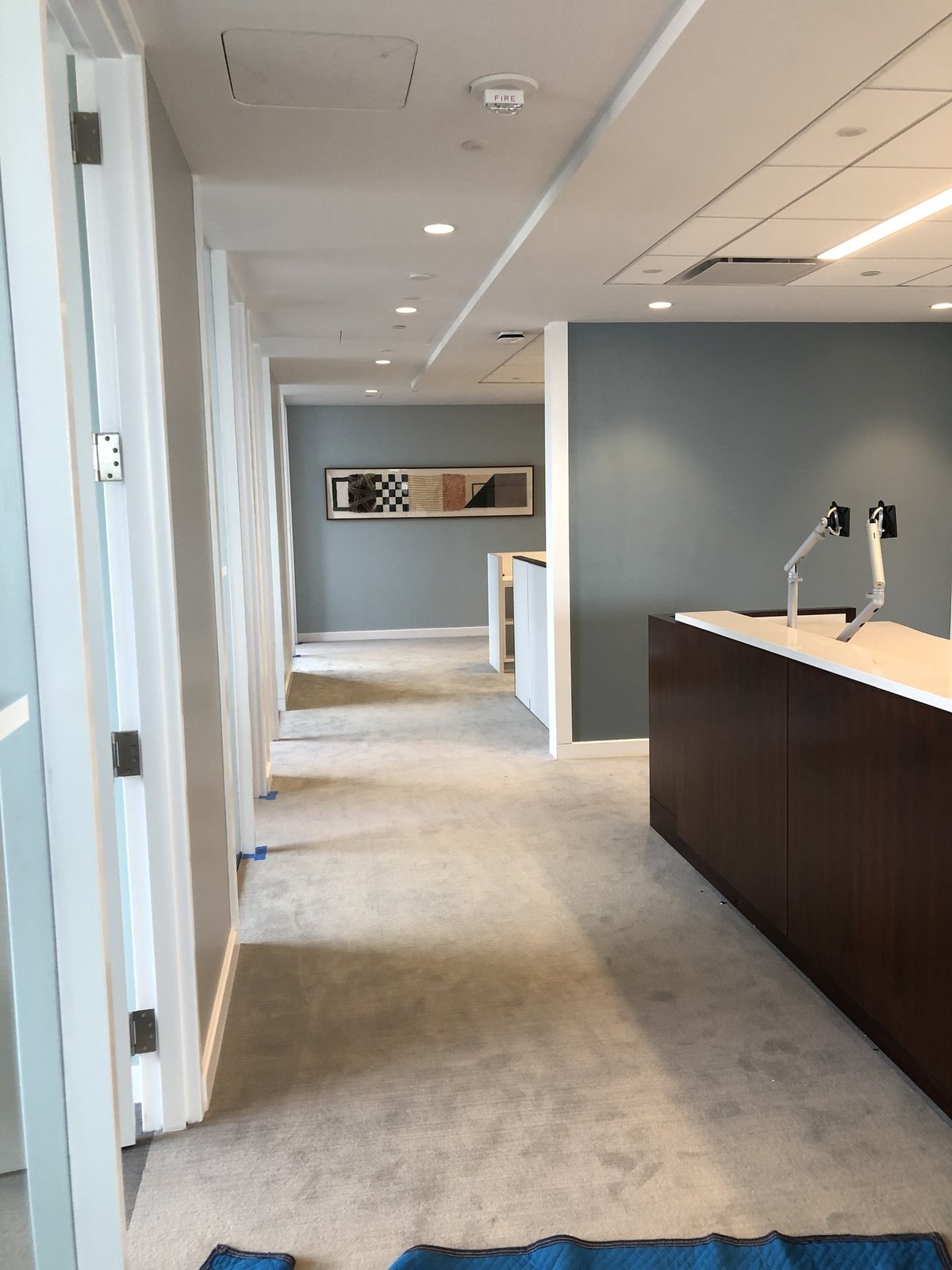 Commercial office interior with clean blue-gray painted walls